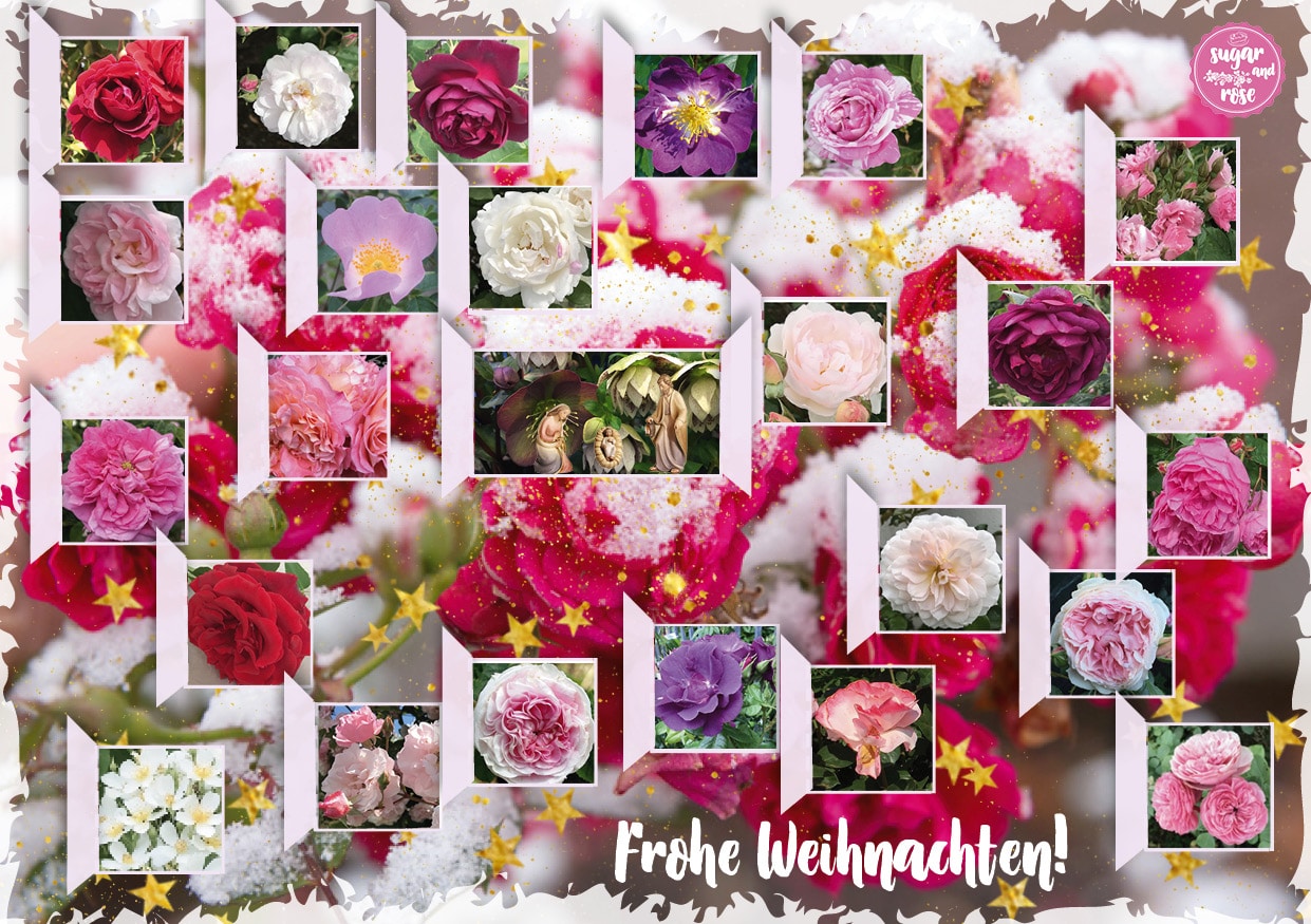 Adventskalender2017-24