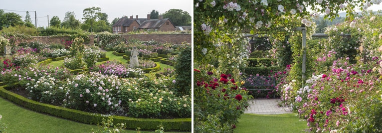 Austin-Rosengarten-Albrighton