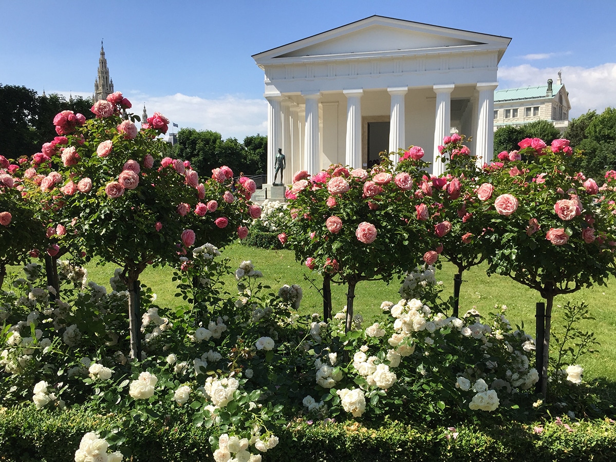 VolksgartenWienSommer