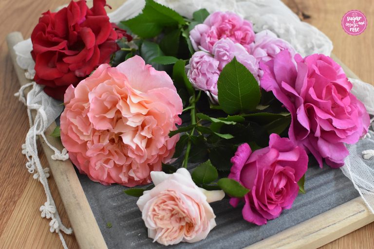 Rosenl Selbst Gemacht