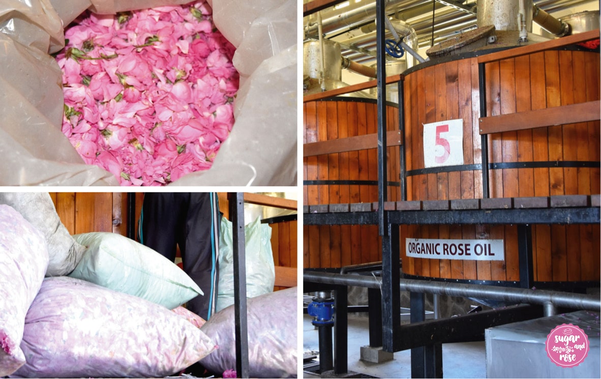 Rosenöl-Destillerei
