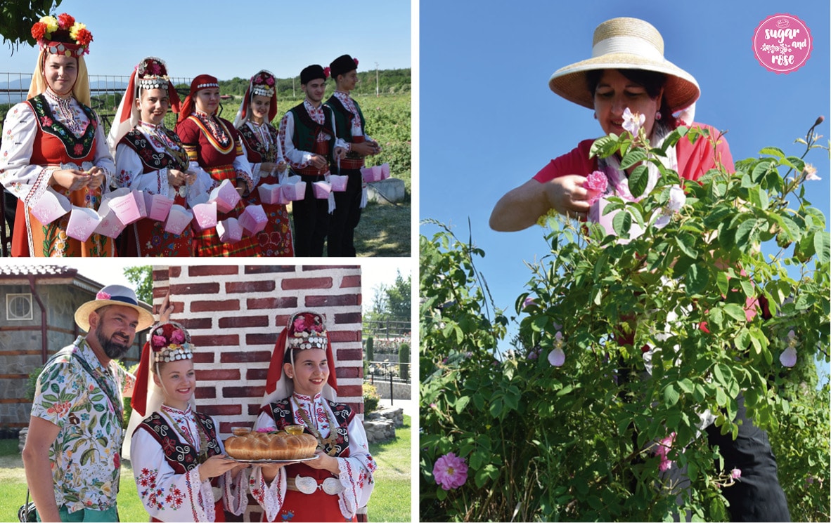 Rosenpflücken-Duo2