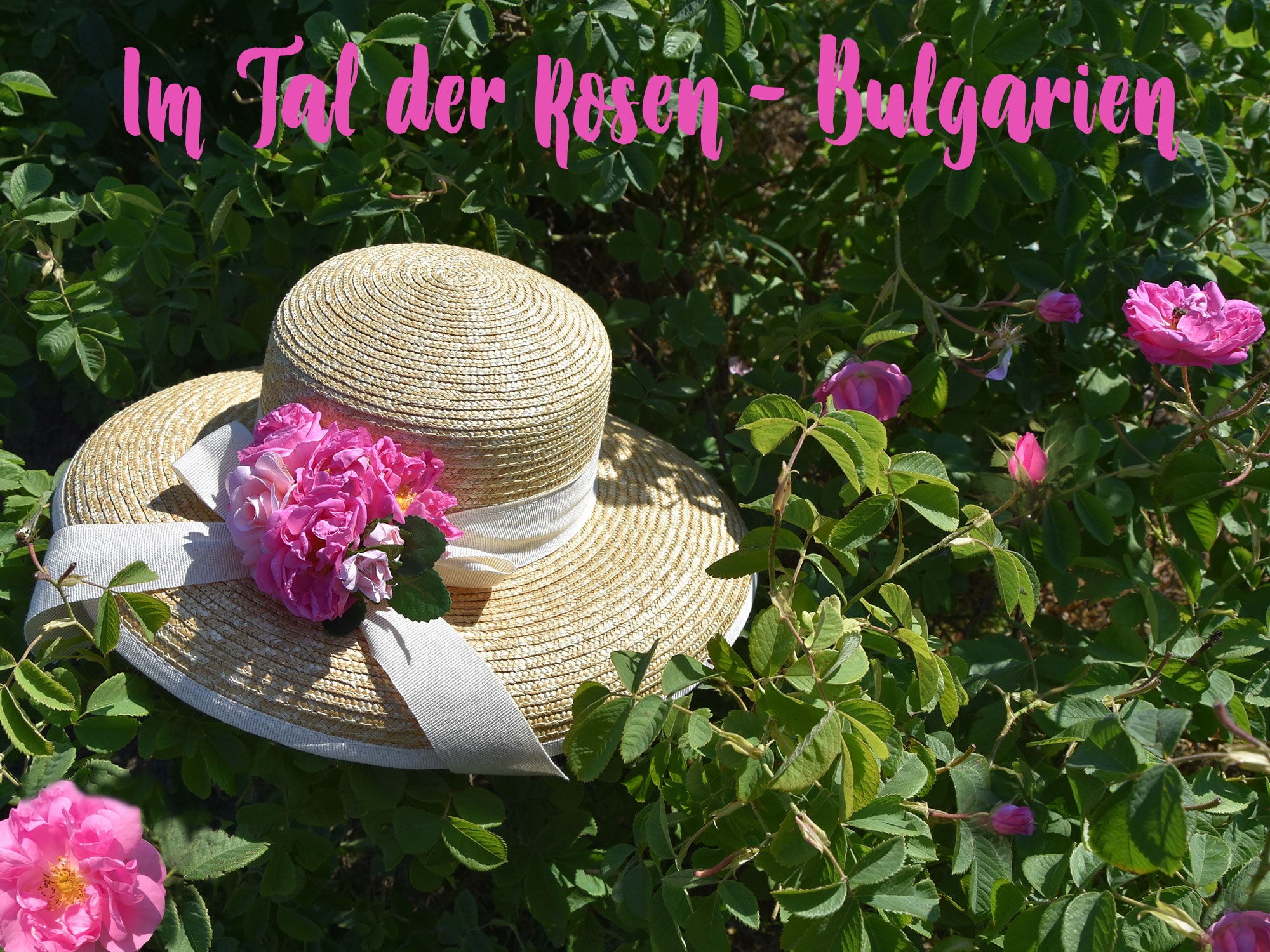 Rosenreise Bulgarien Hut mit Rosen