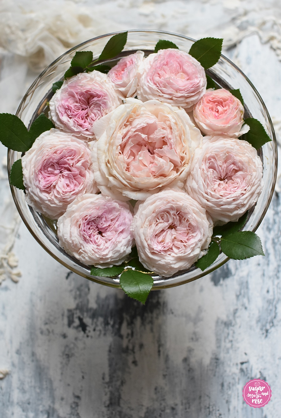 Rosenschale-james-galway