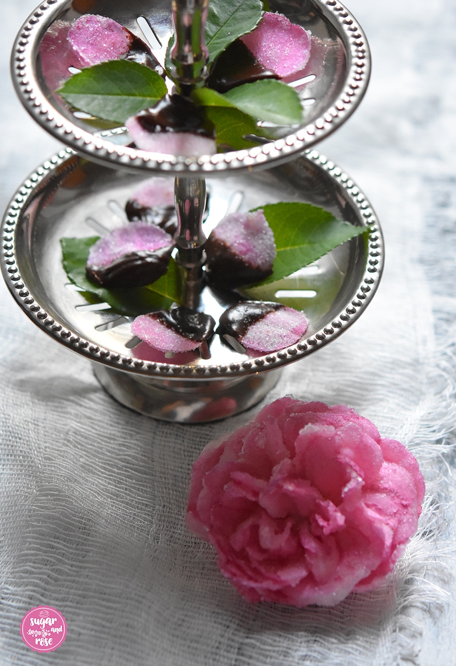 Kandierte-Rosenblueten1