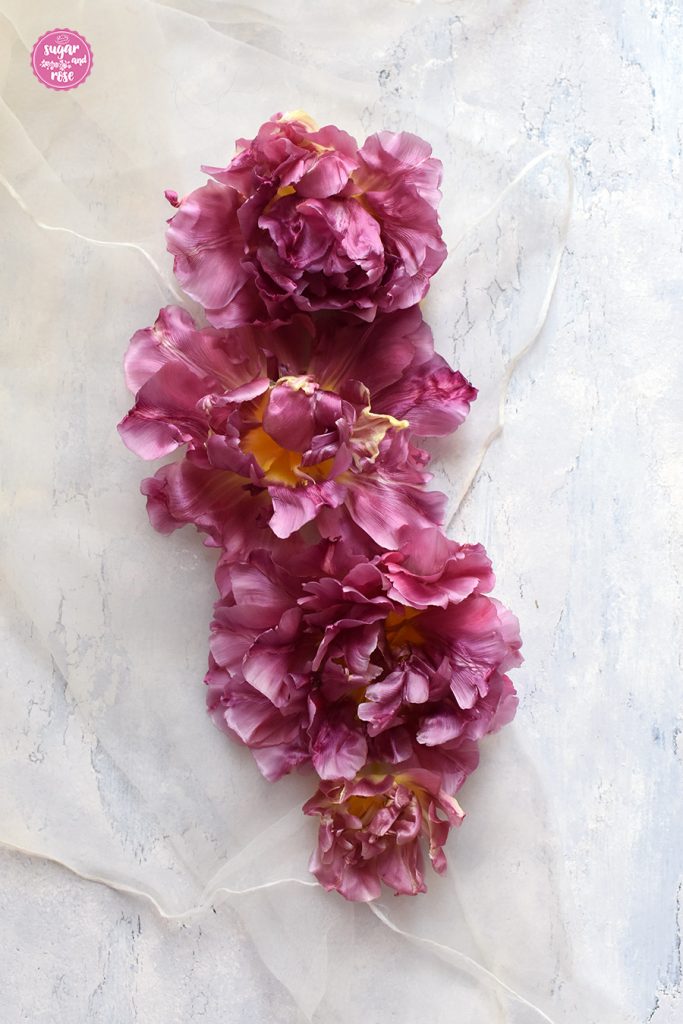 Dunkelrosa Tulpenblüten