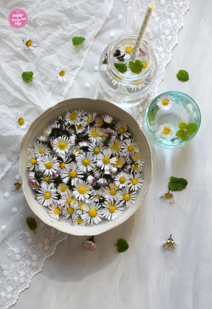 Gänseblüchenblüten in Schale