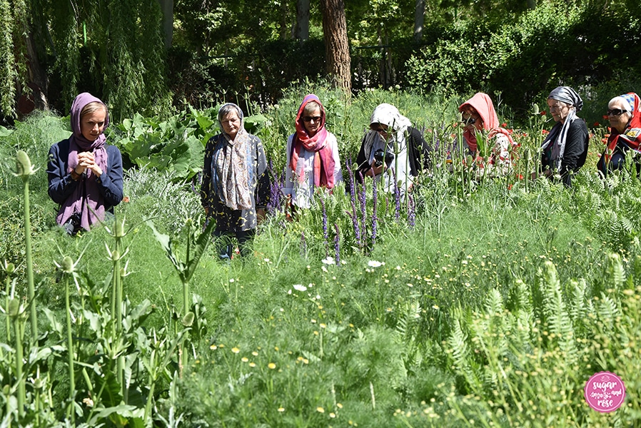 Bagh-e-Golha, Kräutergarten