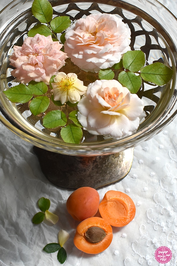Art-Deco-Schale mit Fuß in altem Silber mit einem passenden Glaseinsatz. In der Schale schwimmend im Wasser drei Blüten der apricotfarbenen Rose Schloss Eutin, einige hellgrüne Rosenblätter und eine winzig kleine pastellgelbe Rosenblüte, davor einige Marillen, eine davon aufgeschnitten mit sichtbarem Kern