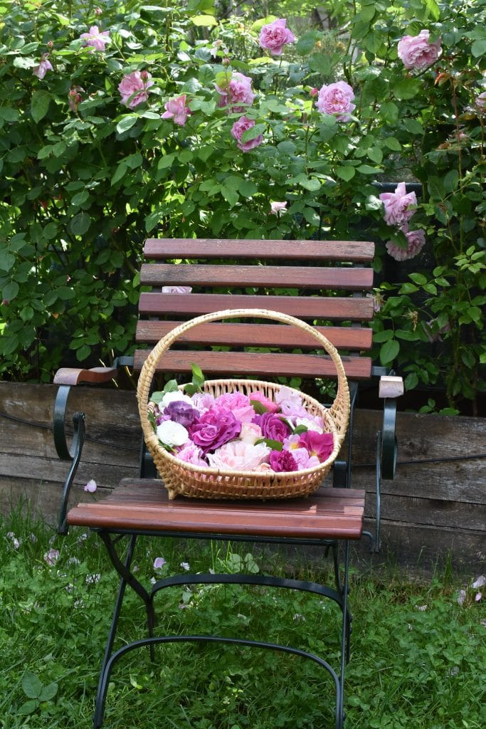 Korb mit Rosenblüten