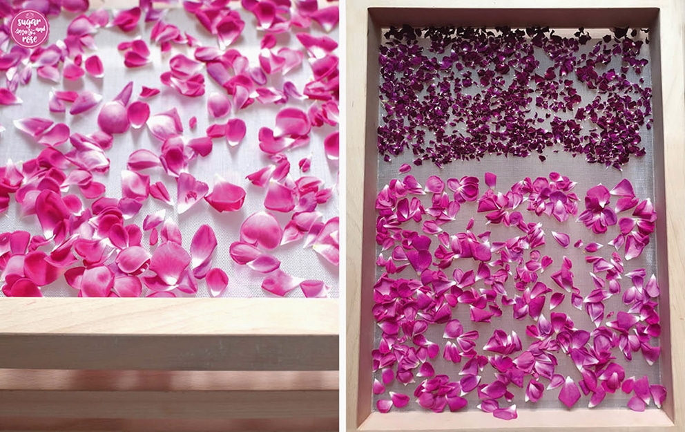 Rosenblüten frisch und getrockent auf einem mehrstöckigen Trockensieb aus Holz als Vorbereitung für die Rosenküche.