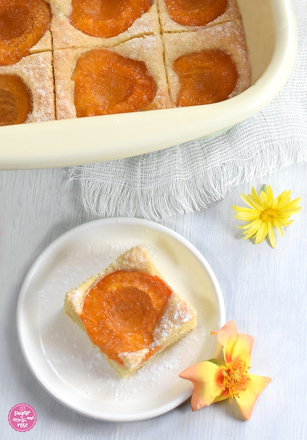 Ein Stück Marillenkuchen auf einem kleinen weißen Metalltellerchen, bestreut mit Staubzucker, dekoriert mit einer orange-gelben Rosenblüte. Im Hintergrund eine Pfanne mit geschnittenem Marillenkuchen.