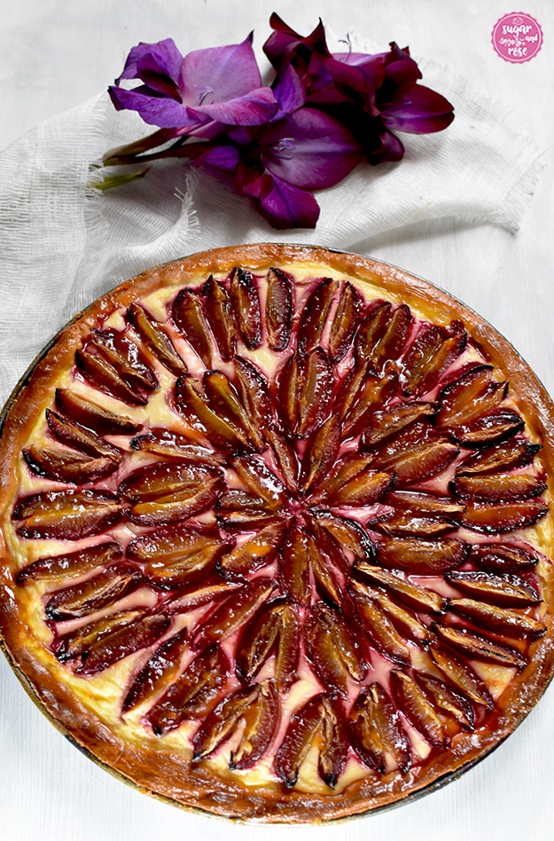 Zwetschkenwähe mit Schmand, auf der die aufgeschnittenen und gebackenen Zwetschken kräftig orange und dunkel glänzen, dahinter ein dunkelviolette Gladiolenblüte