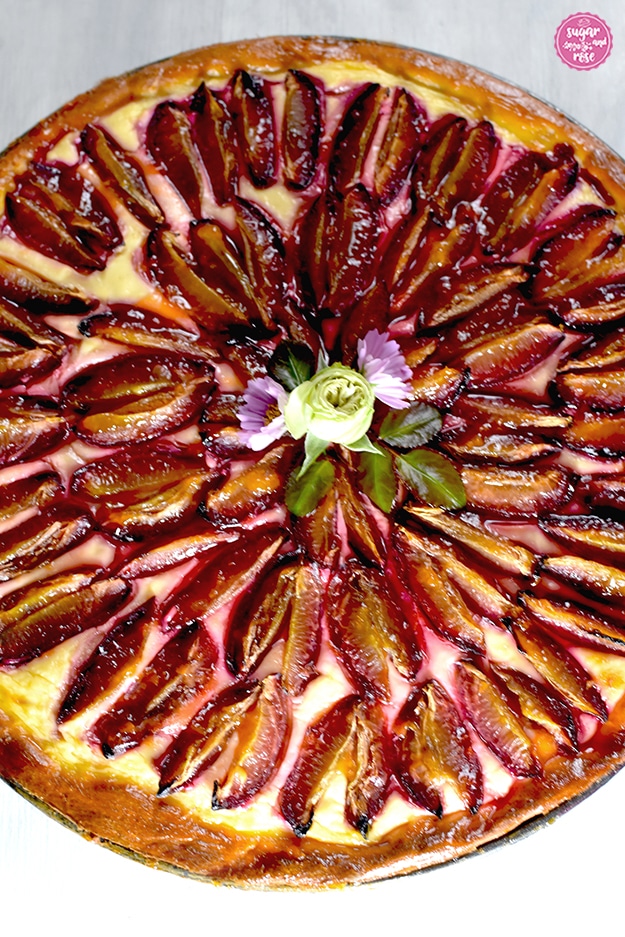 Großaufnahme der Zwetschkenwähe: die geachtelten Zwetschken mit der Schnittseite nach oben liegen im saftigen Schmand-Bett.