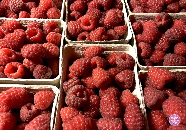 Mehrere Schalen frische Himbeeren in Kartonbechern aneinandergereiht