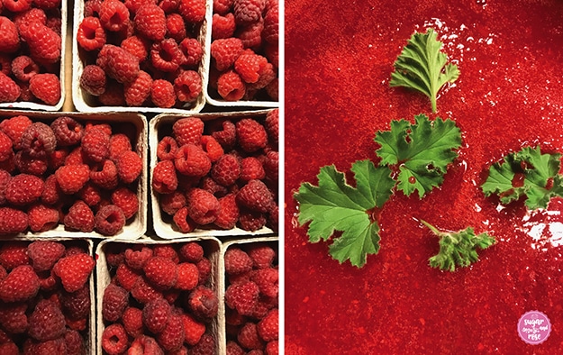 Links mehrere Schalen mit frisch gepflückten Himbeeren, rechts die pürierte und entkernte knallrote Himbeermasse kurz vor dem Aufkochen, oben auf liegen einige grüne Pelargonienblätter.