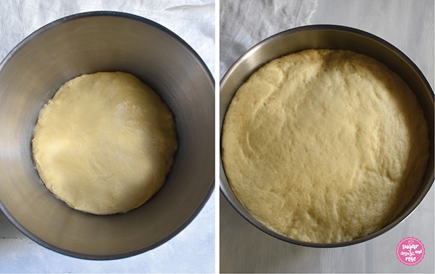Germteig vor und nach dem Aufgehen in einer Mixschüssel
