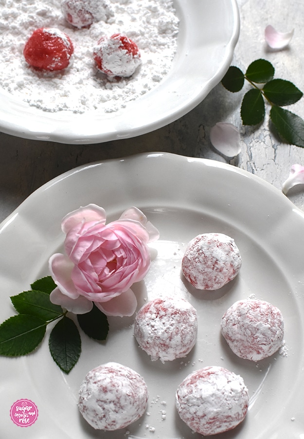 Großaufnahme von den Cookieteigkugeln mit Puderzucker, am Teller ein hellrosa Rosenblüte und ein grünes Rosenblatt