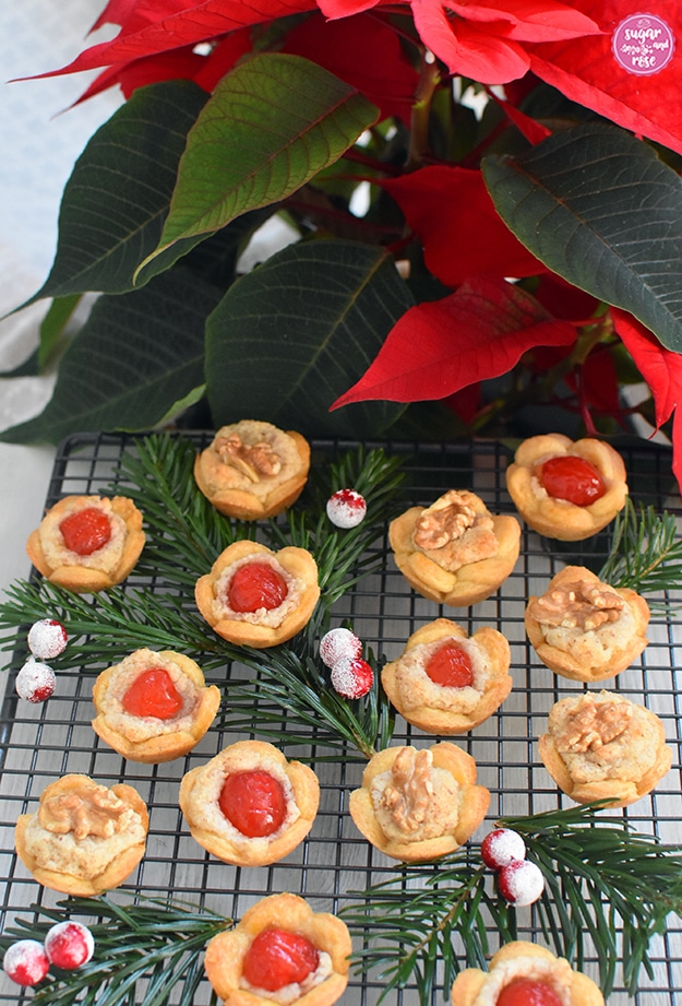 Im Vordergrund Cristrosen-Kekse auf einem Gitterrost, dahinter ein blühender roter Weihnachtsstern