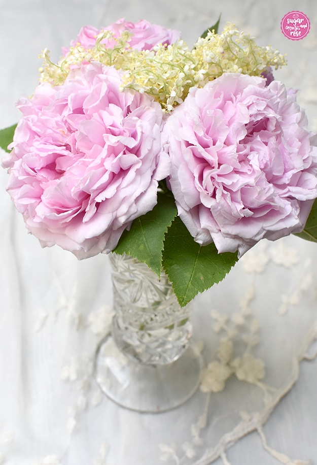 Drei rosa Blüten der Rose Archiduchesse d'Autriche sowie ein Zweig weiße Holunderblüten in einer kleinen Bleikristallvase mit Fuß.