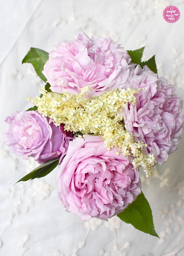 Vier rosa Blüten der Rose Archiduchesse d'Autriche sowie ein Zweig weiße Holunderblüten in einer Vase von oben fotografiert.