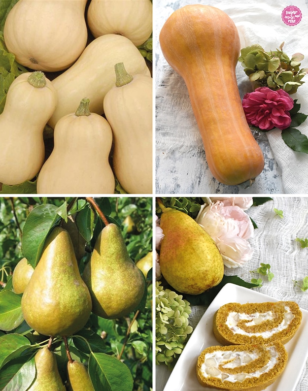 Butternuss-Kürbise hell und kleiner und orange und größer, darunter Birnen am Baum und zwei Stück Kürbisrolle mit Birne als Deko