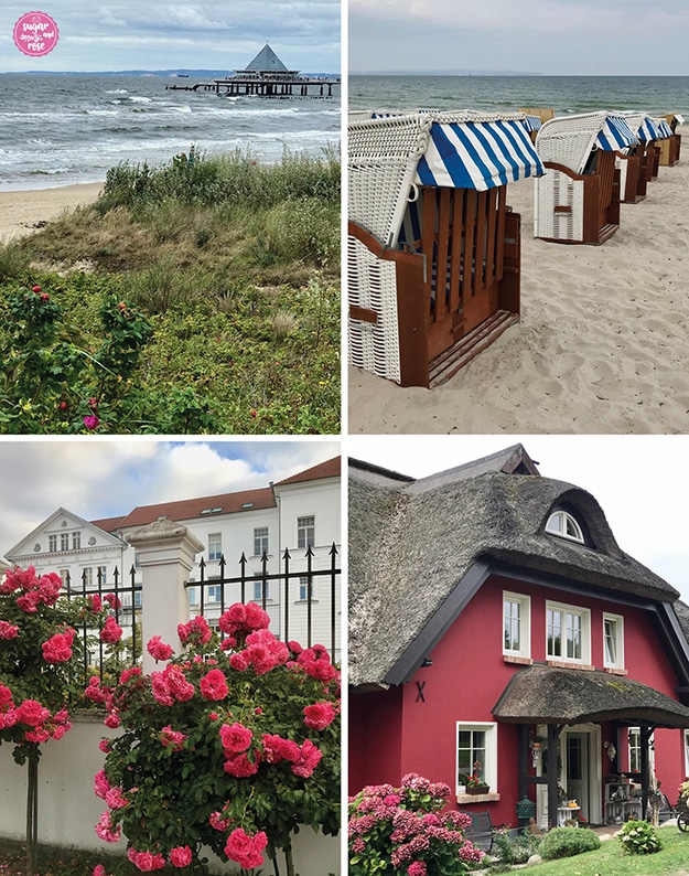 Vier Bilder: Strandfoto auf Usedom mit Rosen im Vordergrund; Strandfoto mit weißem Sand und zahlreichen Strandkörben mit blau-weiß gestreiften Markisen; unten weiße Häuser in Putbus mit rosa Rosenstöcken im Vordergrund; daneben ein rotes Ried-gedecktes Bauernhaus mit Hortensien im Vordergrund