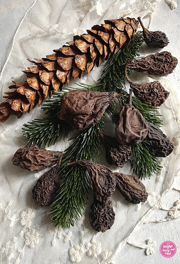 Kletzenbirnen auf einem Tannenzweig mit Tannenzapfen als Deko