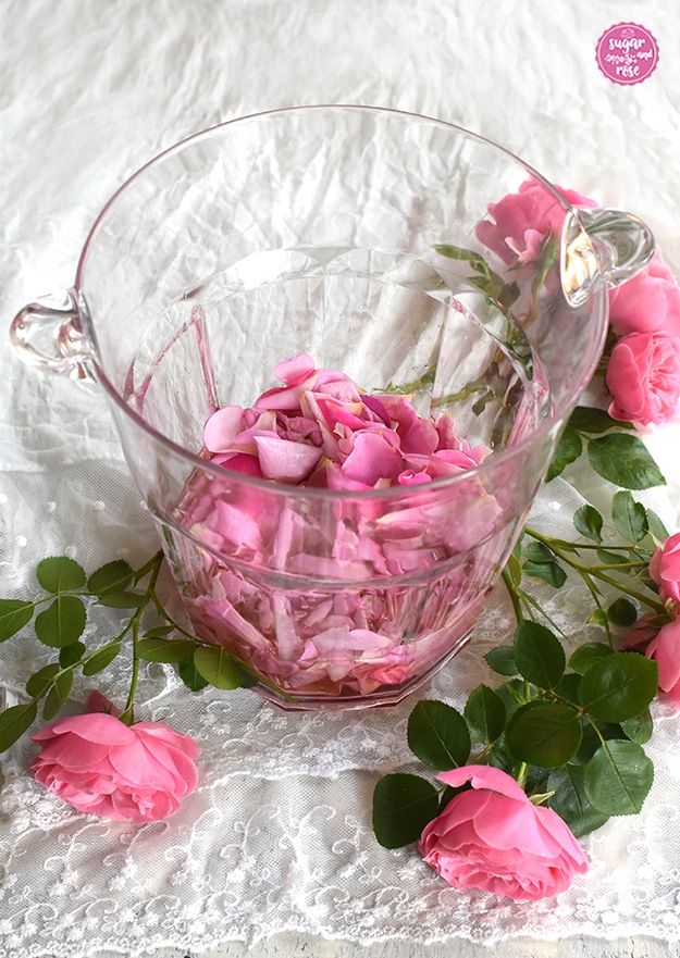 Rosenblüten-Ansatz in einem hohen, durchsichtigen Plexiglas-Sektkühler, davor einige Rosen der Sorte Leonardo-da-Vinici