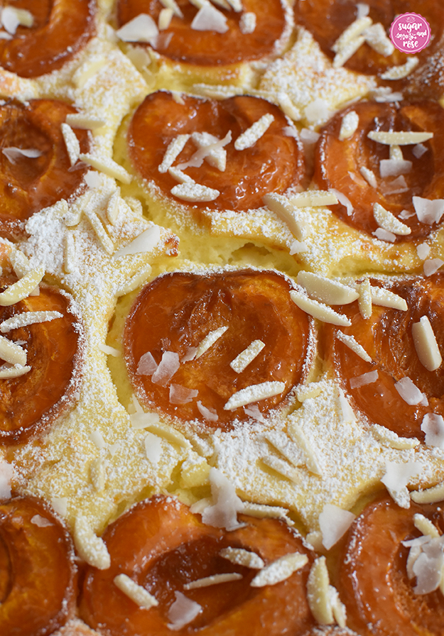 Topfenkuchen mit halben Marillen