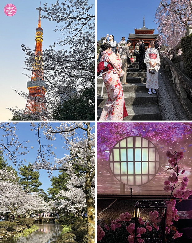Kirschbäume vor dem nächtlich beleuchteten Tokio-Tower, Frauen in Geisha-Kleidung vor einem Tempel, nächtlich beleuchteter Kirschgarten