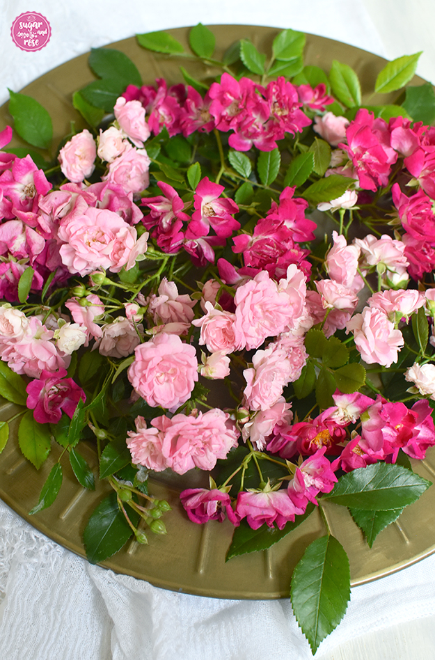 Runder Messingteller mit frischen Blüten der hellrosa The Fairy Rose und kräftig pinken Blüten der Kletterrose Super Excelsa