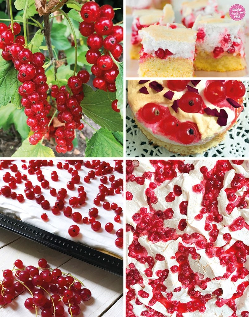 Ribiselkuchen mit Baiser am Blech, rote Ribisel an der Staude, geschnittene Kuchenstücke und gebackener Kuchen am Blech